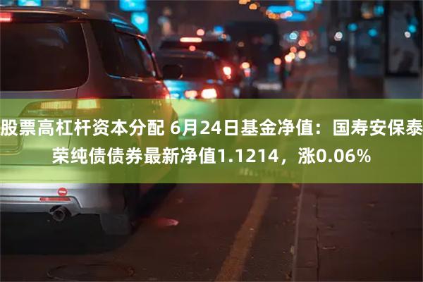 股票高杠杆资本分配 6月24日基金净值：国寿安保泰荣纯债债券最新净值1.1214，涨0.06%