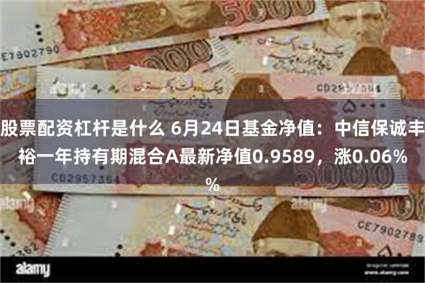 股票配资杠杆是什么 6月24日基金净值：中信保诚丰裕一年持有期混合A最新净值0.9589，涨0.06%