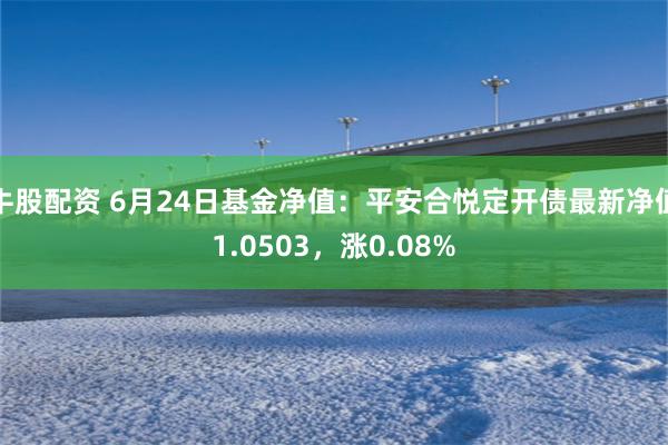 牛股配资 6月24日基金净值：平安合悦定开债最新净值1.0503，涨0.08%