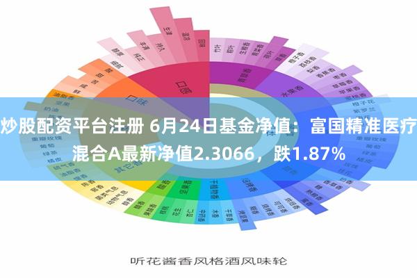 炒股配资平台注册 6月24日基金净值：富国精准医疗混合A最新净值2.3066，跌1.87%