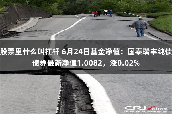 股票里什么叫杠杆 6月24日基金净值：国泰瑞丰纯债债券最新净值1.0082，涨0.02%