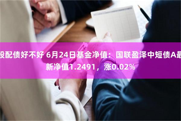 股配债好不好 6月24日基金净值：国联盈泽中短债A最新净值1.2491，涨0.02%