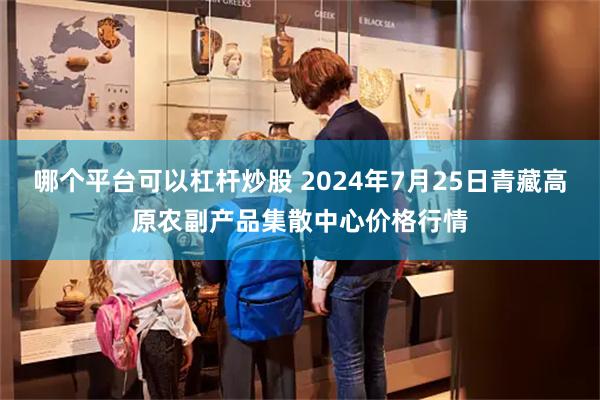 哪个平台可以杠杆炒股 2024年7月25日青藏高原农副产品集散中心价格行情