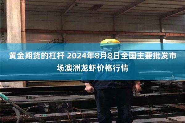 黄金期货的杠杆 2024年8月8日全国主要批发市场澳洲龙虾价格行情