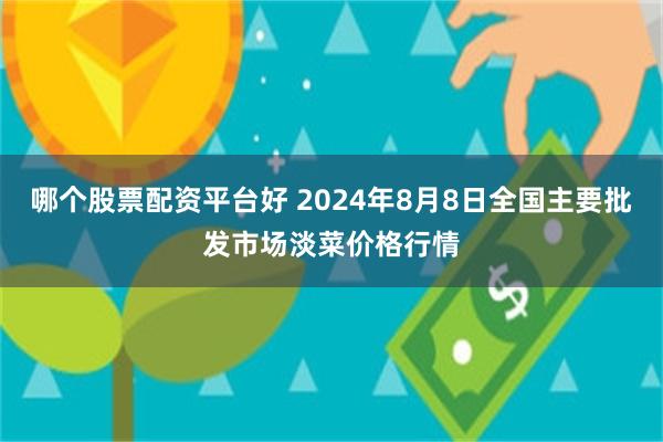 哪个股票配资平台好 2024年8月8日全国主要批发市场淡菜价格行情