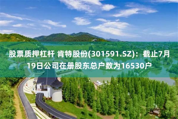 股票质押杠杆 肯特股份(301591.SZ)：截止7月19日公司在册股东总户数为16530户