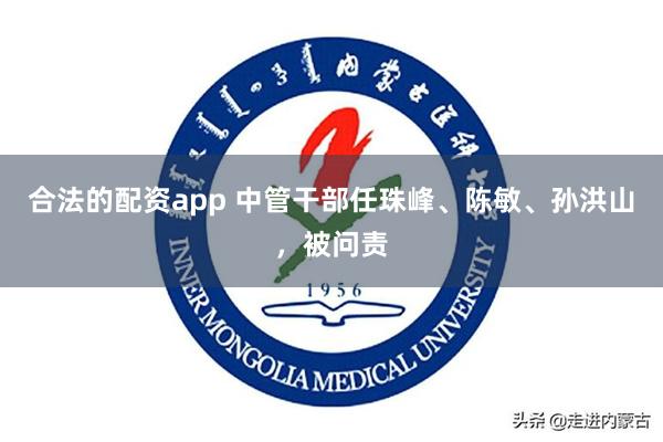 合法的配资app 中管干部任珠峰、陈敏、孙洪山，被问责