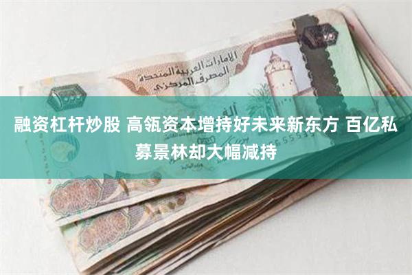 融资杠杆炒股 高瓴资本增持好未来新东方 百亿私募景林却大幅减持