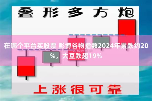 在哪个平台买股票 彭博谷物指数2024年累跌约20%，大豆跌超19%