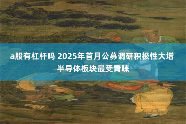 a股有杠杆吗 2025年首月公募调研积极性大增 半导体板块最受青睐