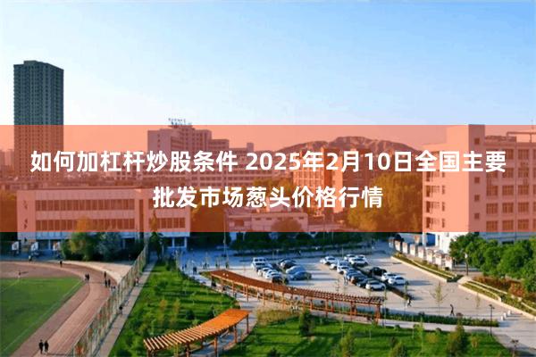 如何加杠杆炒股条件 2025年2月10日全国主要批发市场葱头价格行情