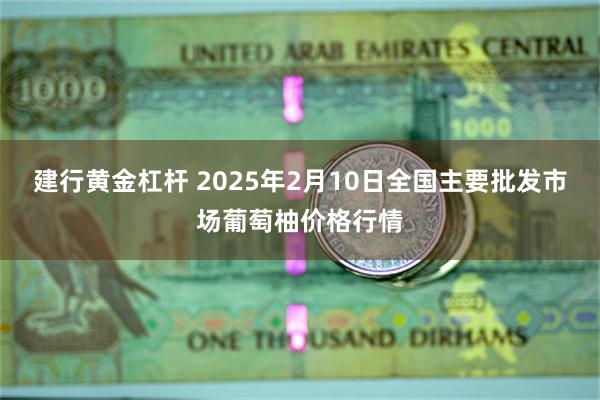 建行黄金杠杆 2025年2月10日全国主要批发市场葡萄柚价格行情