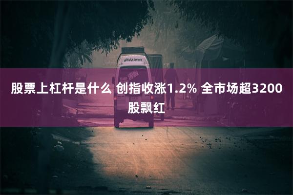 股票上杠杆是什么 创指收涨1.2% 全市场超3200股飘红